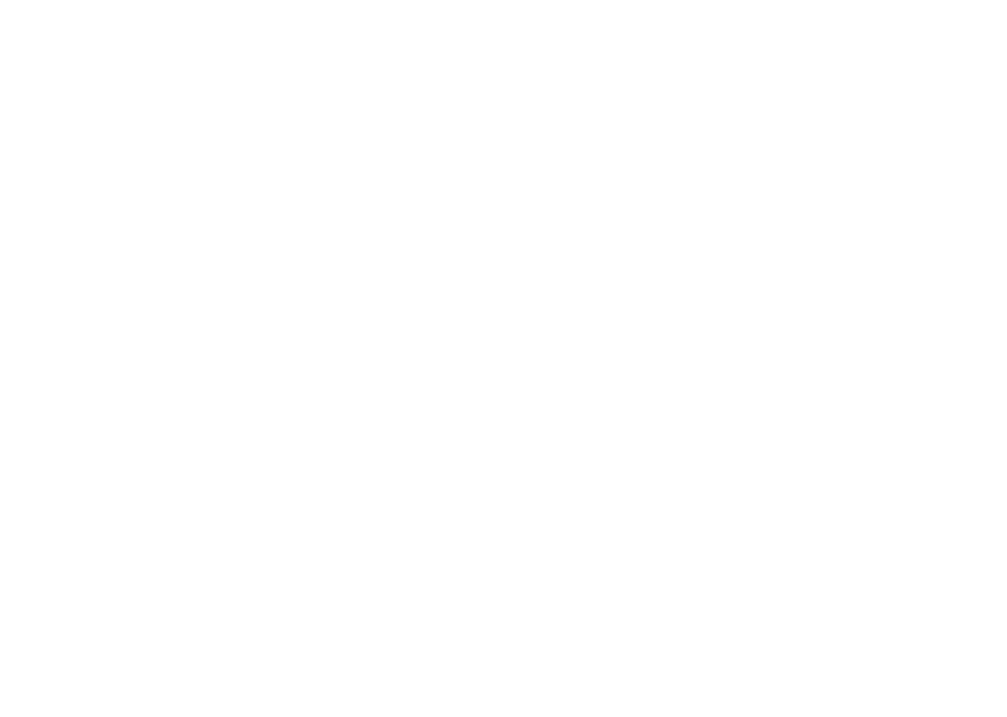 ディランもビートルズもストーンズも！ボウイもフレディもプリンスも！
			JBもジミヘンも！そしてプレスリーまでもが彼に憧れ、敬愛し、真似た‼